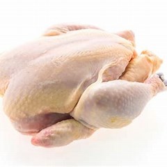 Poulets de chair