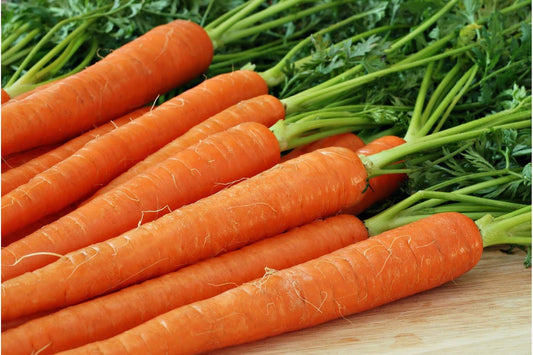 Carottes