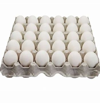 Tablettes d'œufs