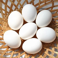 Tablettes d'œufs