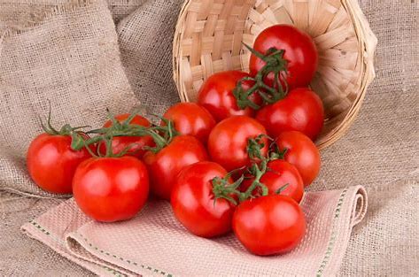 TOMATES